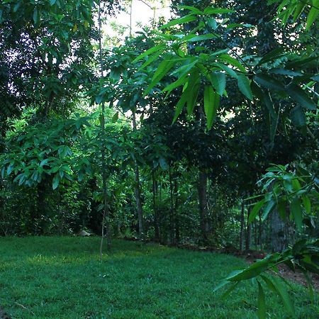 Abberny Villa Midigama East Exteriér fotografie
