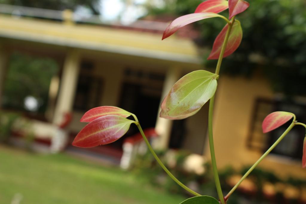 Abberny Villa Midigama East Pokoj fotografie