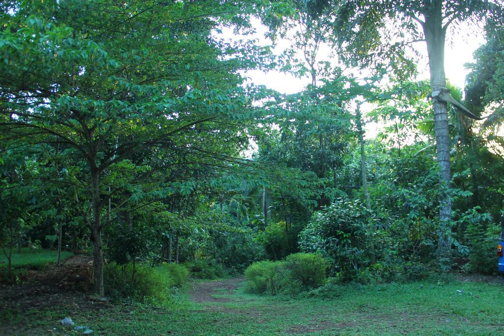 Abberny Villa Midigama East Pokoj fotografie