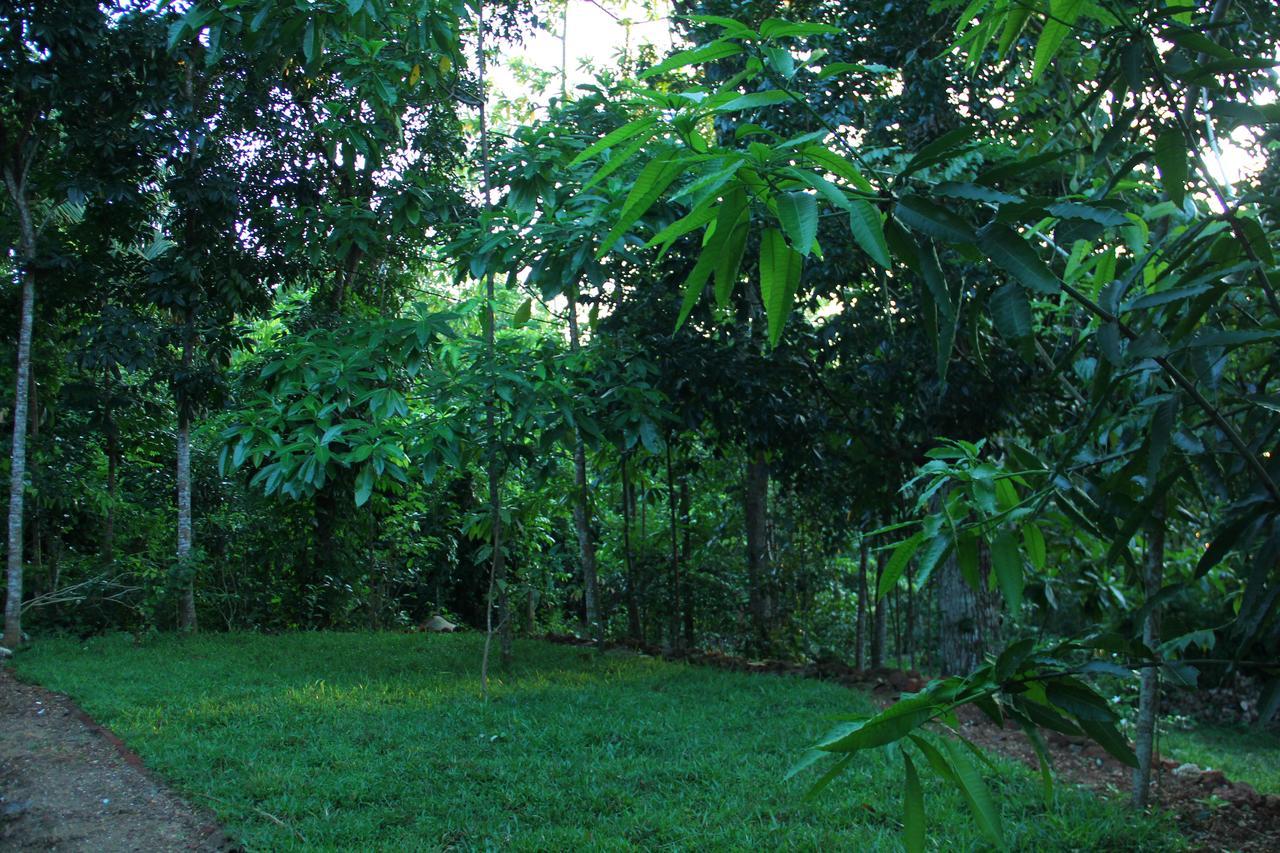 Abberny Villa Midigama East Exteriér fotografie